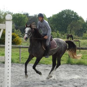 Qhiwan Brocéliande en éducation chez Damien Jehanno